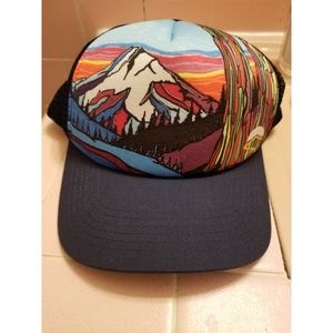 Sunday afternoons snapback.